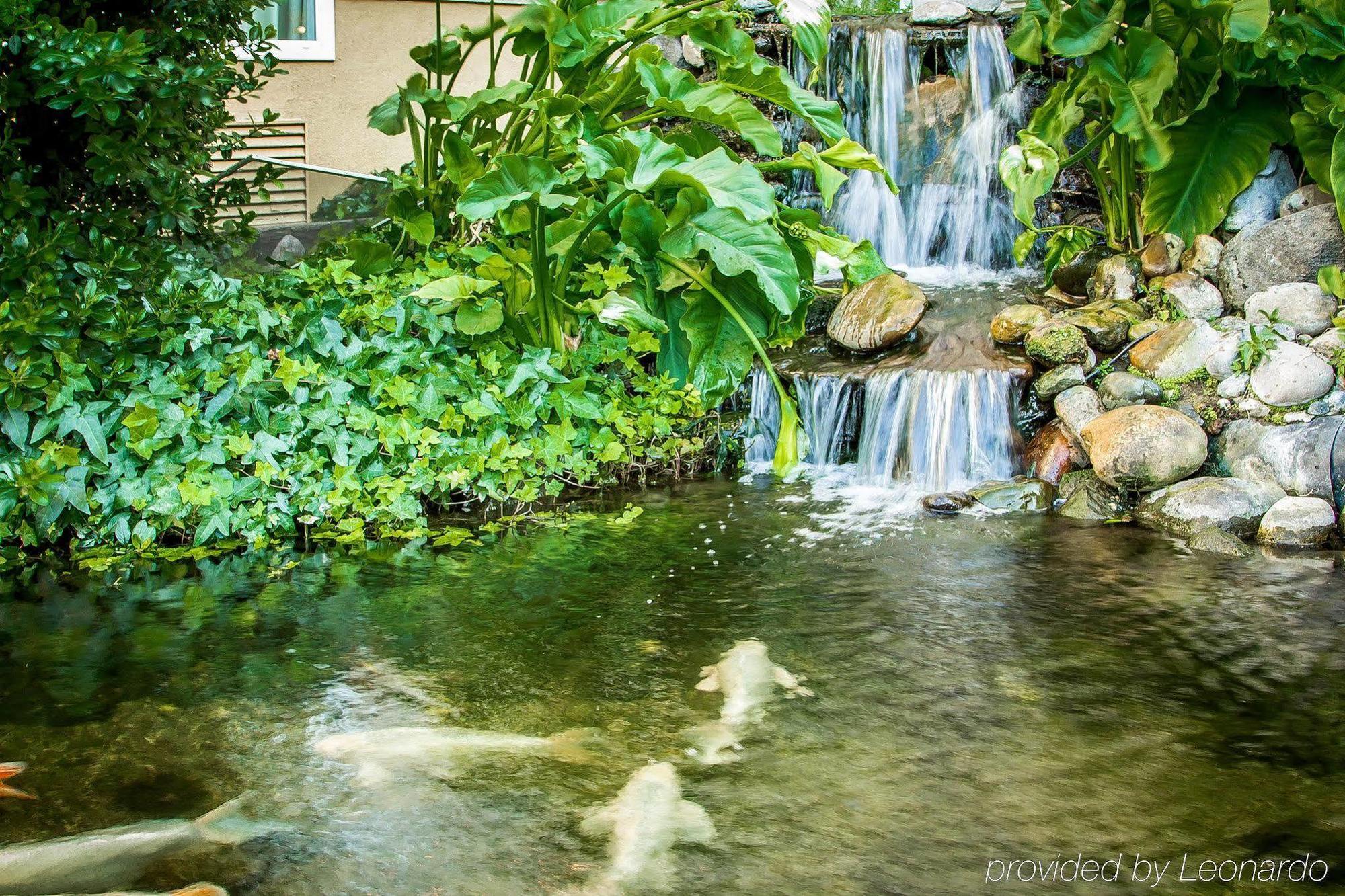 Comfort Inn Modesto Kültér fotó